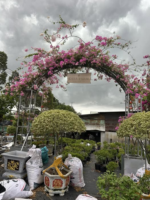 ✿ Đặt Hàng Tạo Mẫu Theo Yêu Cầu ✿